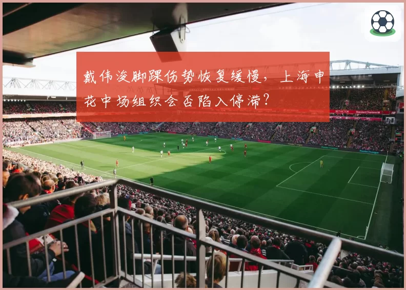 戴伟浚脚踝伤势恢复缓慢，上海申花中场组织会否陷入停滞？