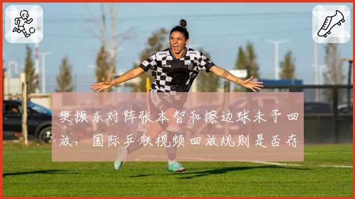 樊振东对阵张本智和擦边球未予回放，国际乒联视频回放规则是否存在漏洞？